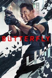 Motyl / Butterfly