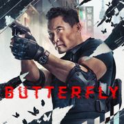 Motyl / Butterfly